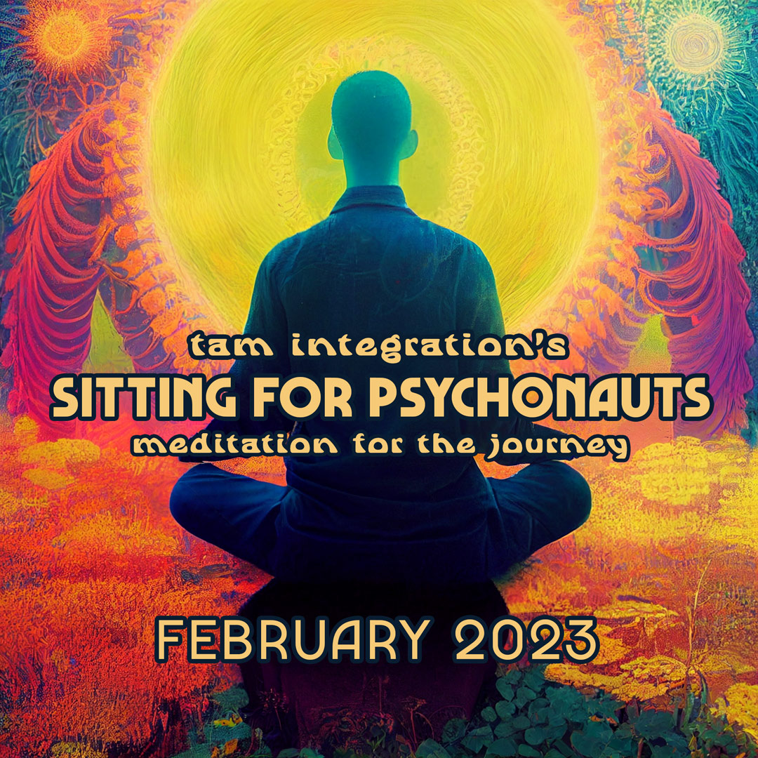 psychedelic integration coach training
