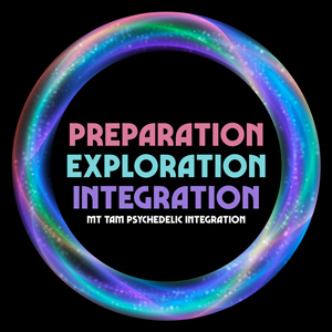 integration circles